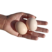 local eggs