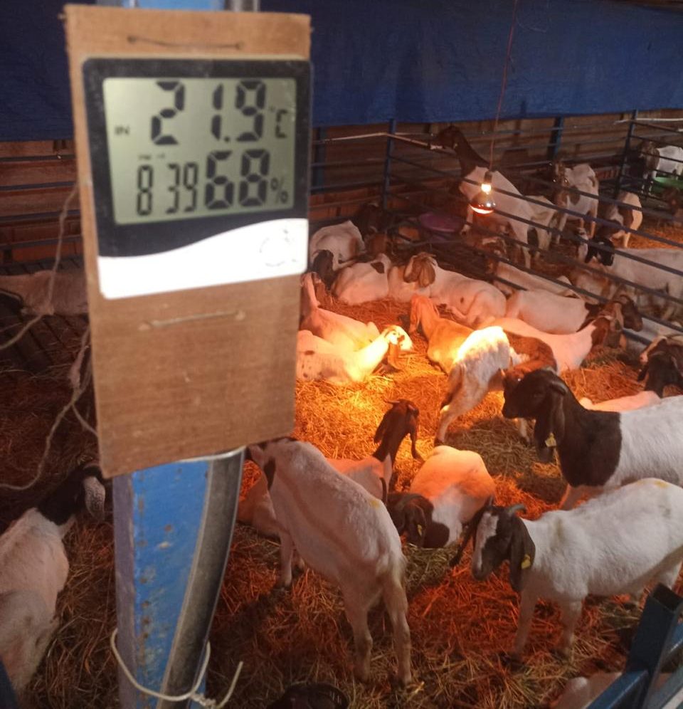 climate change and livestock farming